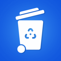 Recycle Bin: Restore Lost Data